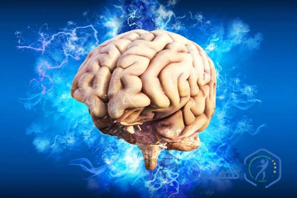 راه های درمان فلج بلز